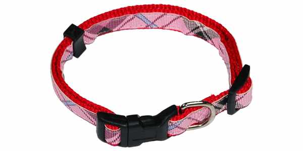 NYLON COLLAR BLUE&PINK, 5/8"X10"-16"