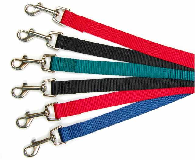 6 NYLON DOG LEAD 3/4''X48''