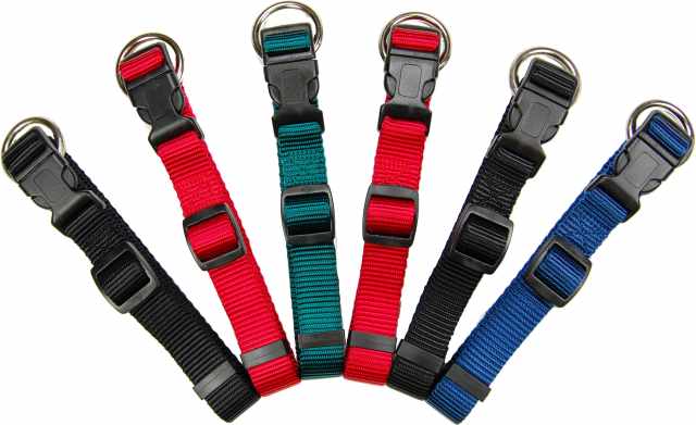 Hamilton FAM 16/22 LV Adjustable Nylon Dog Collar : : Pet Supplies