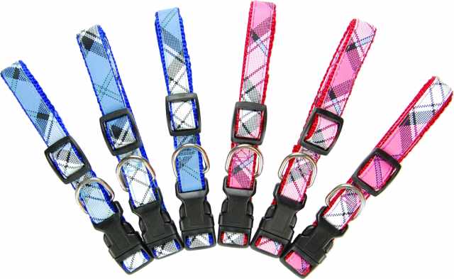 6 NYLON COLLAR BLUE&PINK, 5/8"X10"-16"