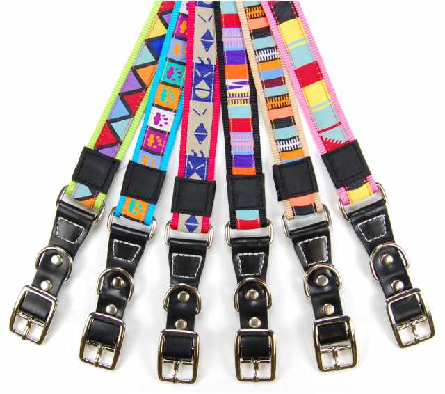 6 NYLON COLLAR MIXED COLOR 1''X16''-22''