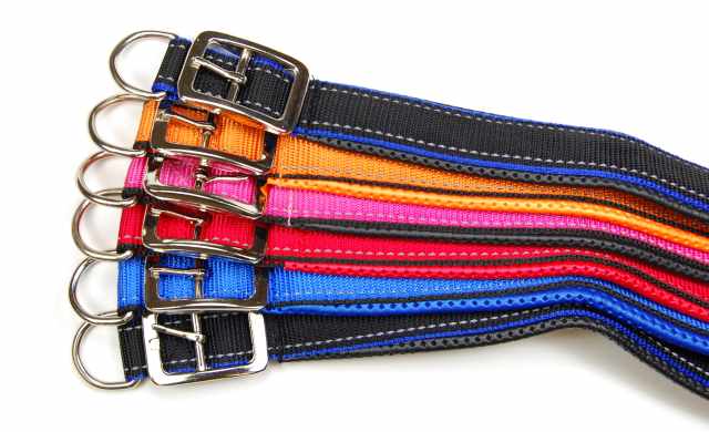 6 NYLON DOG COLLAR WITH SOFT LAYER, 1"X22"