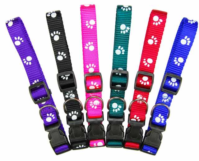 6 NYLON DOG COLLAR WITH WHITE DOG FOOT, 3/4''X16''-22''