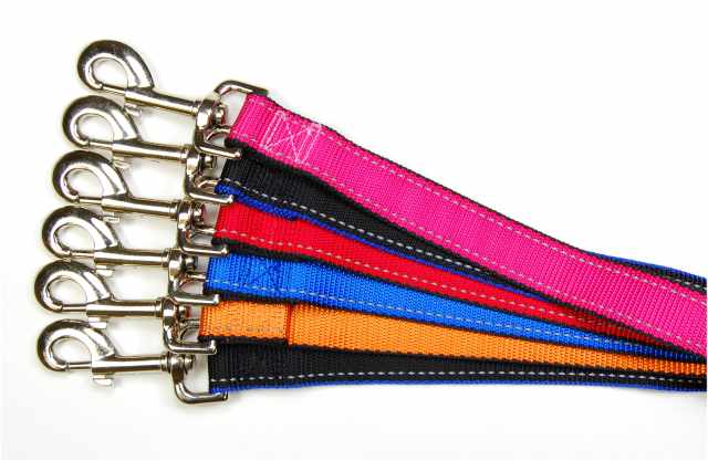 6 NYLON DOG LEAD WITH SOFT LAYER, 1''X48"