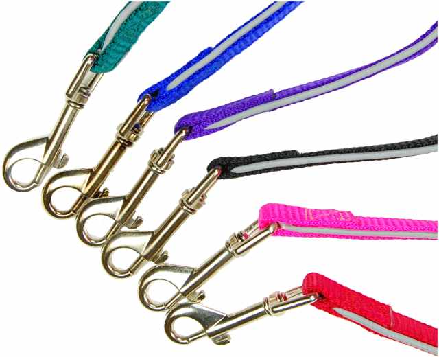 6 Nylon Dog Reflective Lead 3/4"x48"