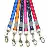 6 Nylon Dog Reflective Leash 5/8''X60"