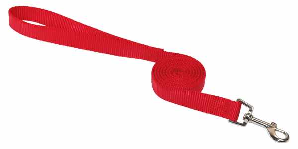 NYLON DOG LEAD 3/4''X48''